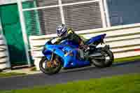 Lower Group Blue Bikes